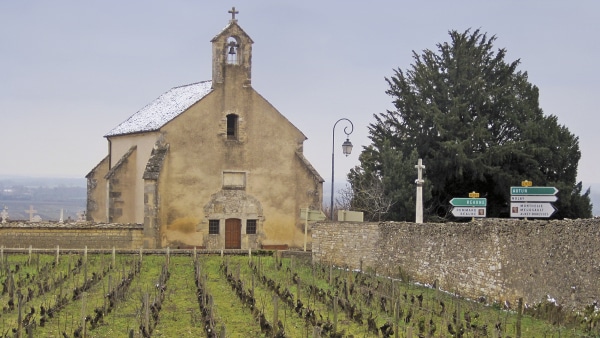 Vineyard and Chapel of Clos de la Chapelle