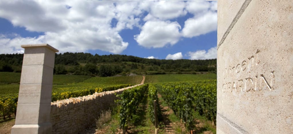 Vincent Girardin vineyards